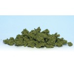 FC182 Clump-Foliage™ Light Green Large Bag (พืชคลุมดินระดับที่ 4 คลัม โฟลเลจ สี เขียวมะกอก - ถุงใหญ่ )