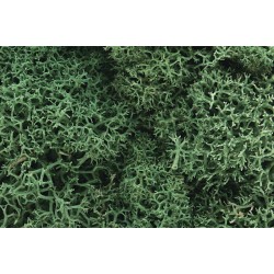 L162  Light Green Lichen ( เขียวอ่อน ) 