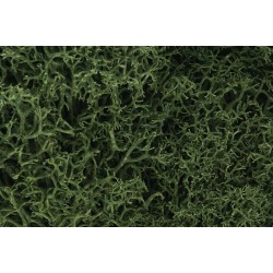 L163 Medium green lichen สีเขียวกลางๆ 