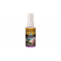 SP4192	Scenic Spray Glue 